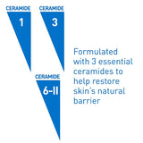 CeraVe Hydrating Skin Care Set